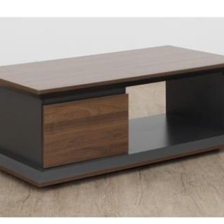 Executive Coffee Table
