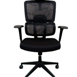 Orthopedic Chair